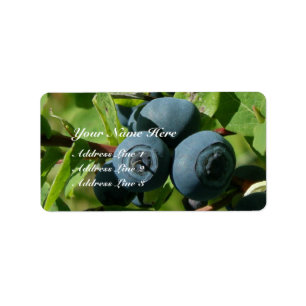 Blaubeeren auf Bush Adressaufkleber