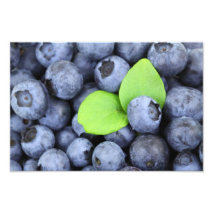Blaubeeren Fotodruck