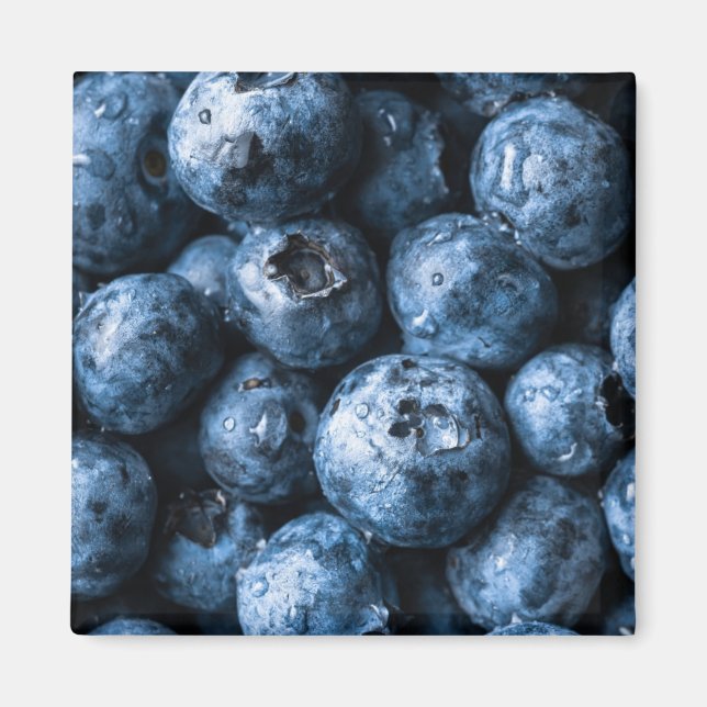 Blaubeeren Früchte Magnet (Vorne)