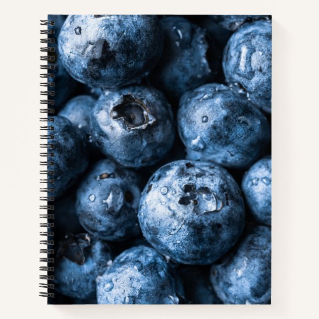 Blaubeeren Früchte Notizbuch (Vorderseite)