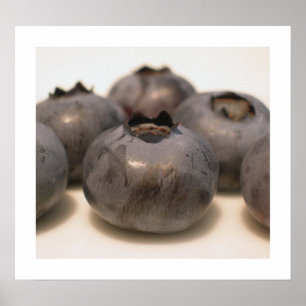 Blaubeeren I haben 18 gekannt Poster