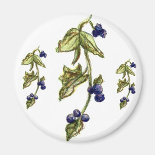 Blaubeeren im Weinmagazin Magnet