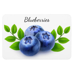 Blaubeeren Magnet