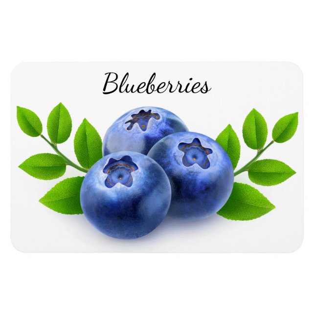 Blaubeeren Magnet (Horizontal)
