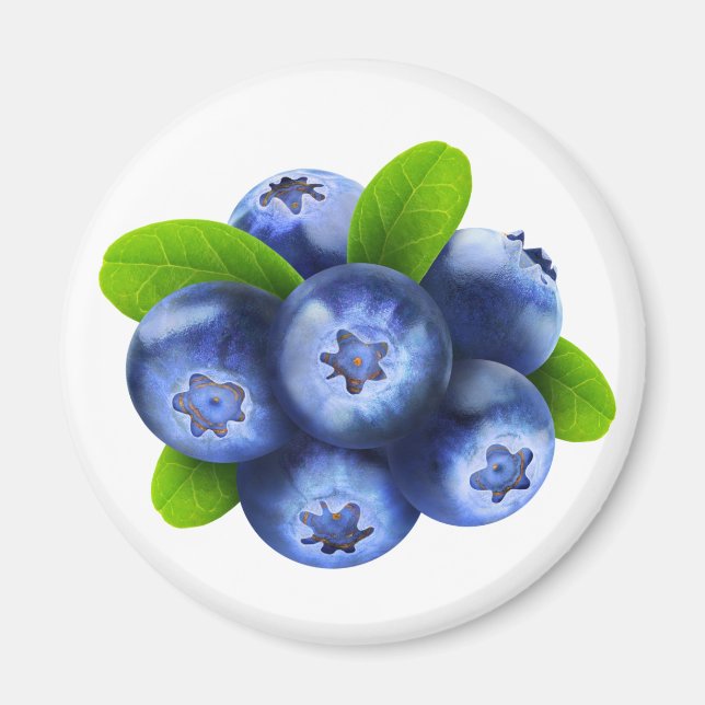 Blaubeeren Magnet (Vorne)
