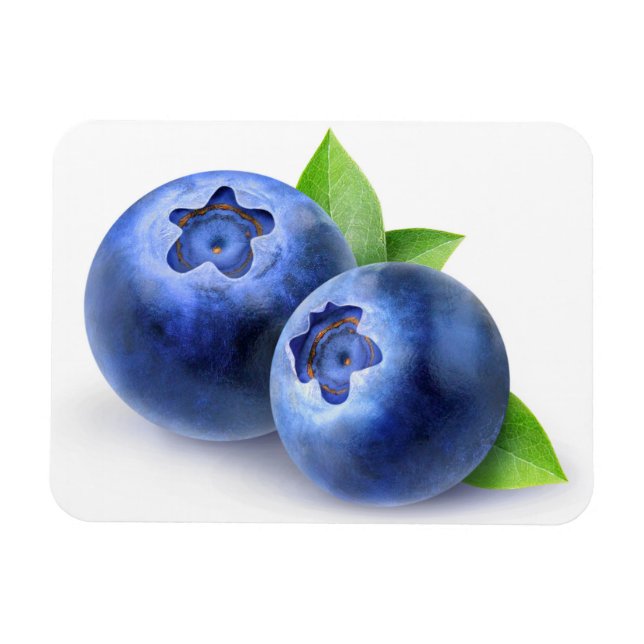 Blaubeeren Magnet (Horizontal)