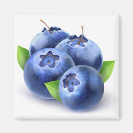Blaubeeren Magnet