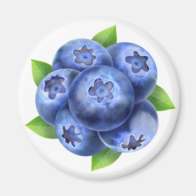 Blaubeeren Magnet (Vorne)