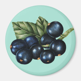 Blaubeeren Magnet