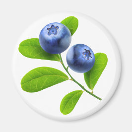 Blaubeeren Magnet