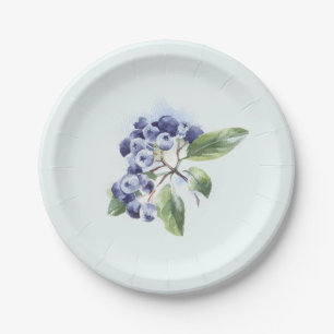 Blaubeeren Pappteller