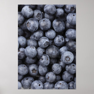 Blaubeeren Poster