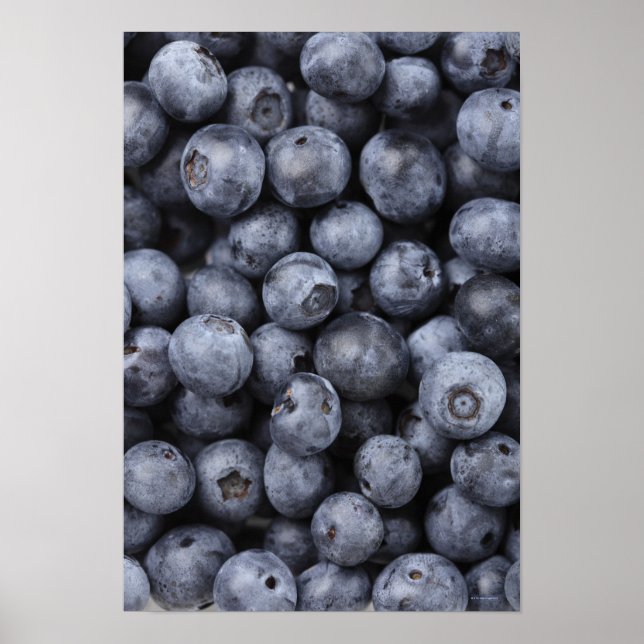 Blaubeeren Poster (Vorne)