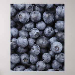 Blaubeeren Poster