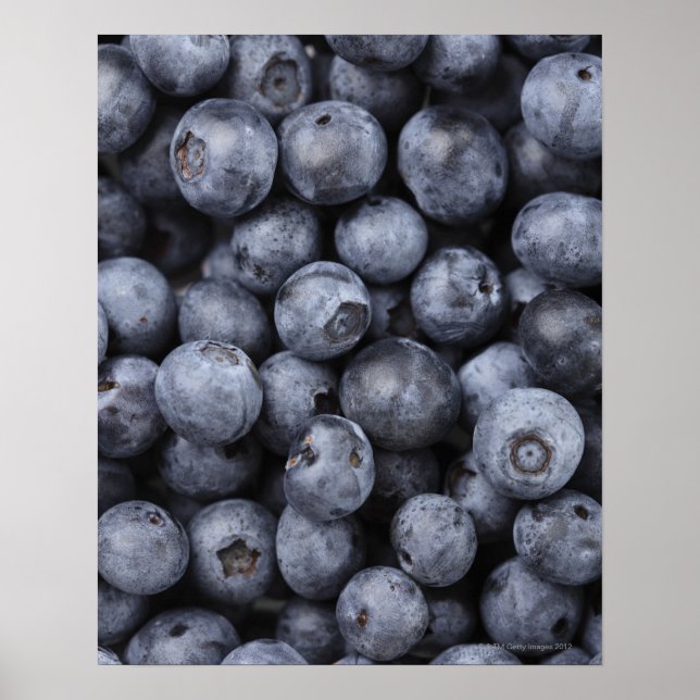 Blaubeeren Poster (Vorne)