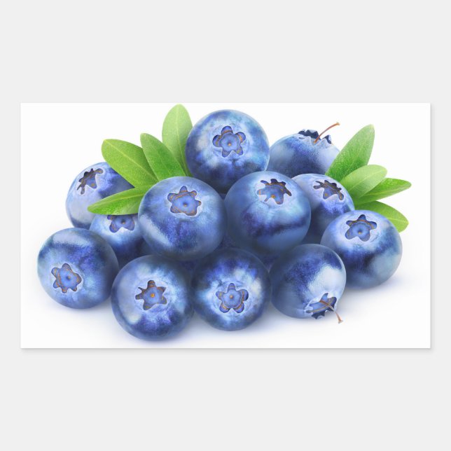 Blaubeeren Rechteckiger Aufkleber (Vorderseite)