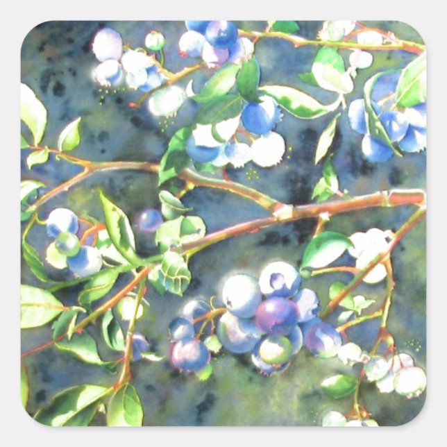 Blaubeeren, romantische Früchte Aquarellmalerei Quadratischer Aufkleber (Vorderseite)