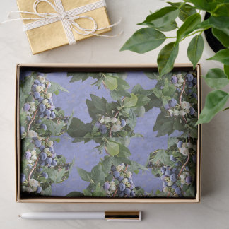 Blaubeeren! Seidenpapier