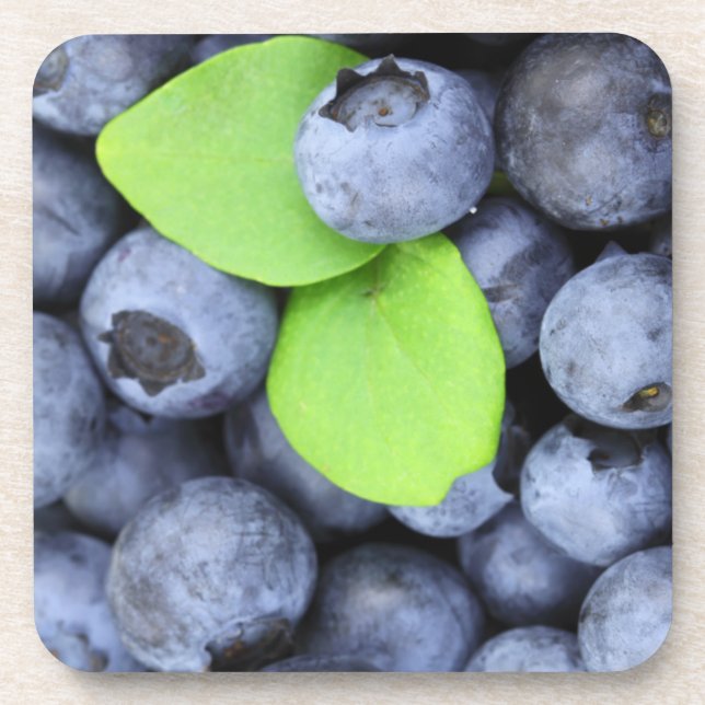 Blaubeeren Untersetzer (Vorderseite)