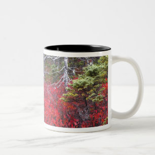 Blaubeersträucher und Kiefern Zweifarbige Tasse