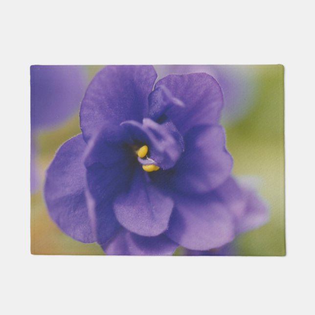 Blaublühende Blume von Violet Saintpaulia Zoomed Fußmatte (Vorderseite)