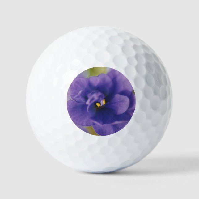 Blaublühende Blume von Violet Saintpaulia Zoomed Golfball (Vorderseite)