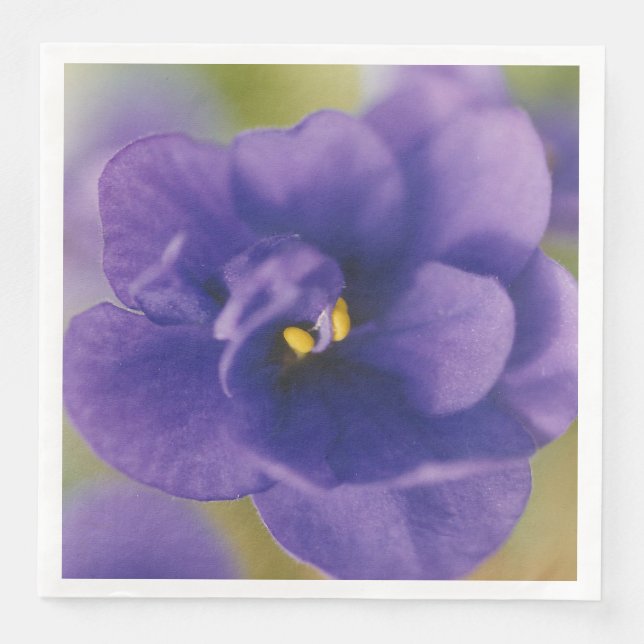 Blaublühende Blume von Violet Saintpaulia Zoomed Serviette (Vorderseite)