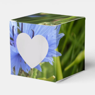 Blaublume Geschenkschachtel