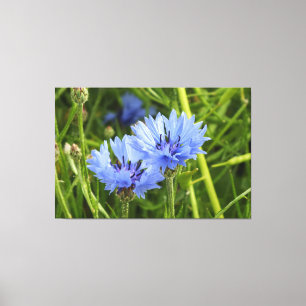 Blaublume Leinwanddruck