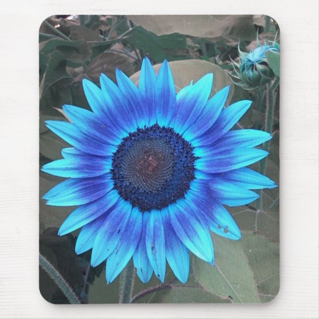 Blaublume Mousepad (Vorne)