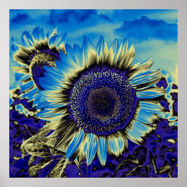 Blaublume Poster (Vorne)