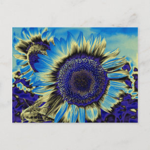 Blaublume Postkarte