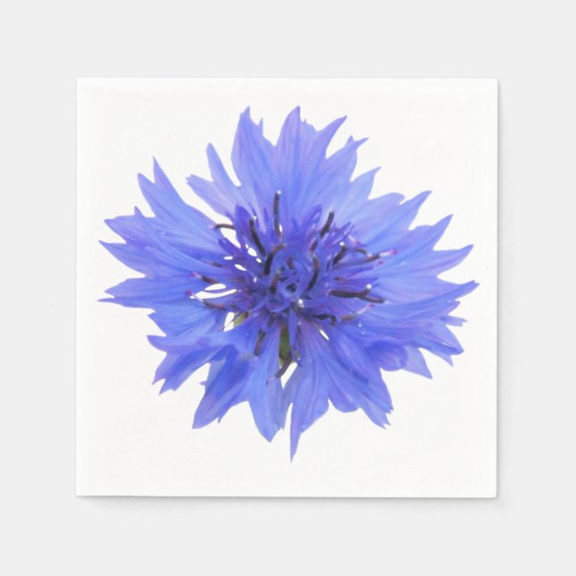 Blaublume Serviette (Vorderseite)