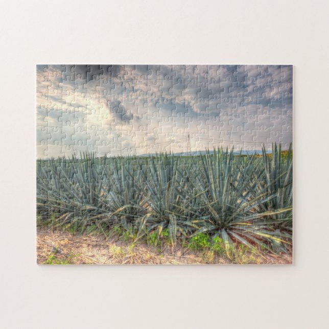 Blaue Agave Puzzle (Horizontal)