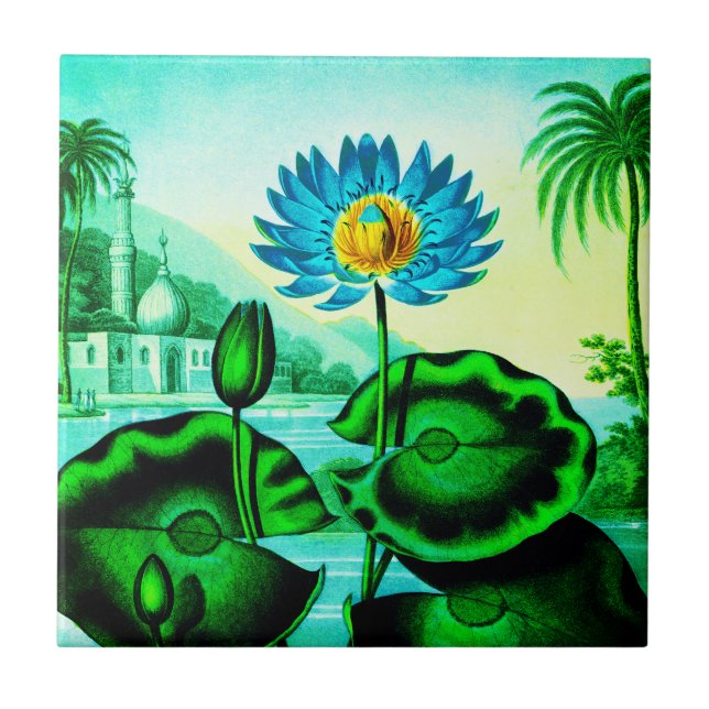 Blaue ägyptische Wasserlilie / Lotus Illustration Fliese (Vorderseite)