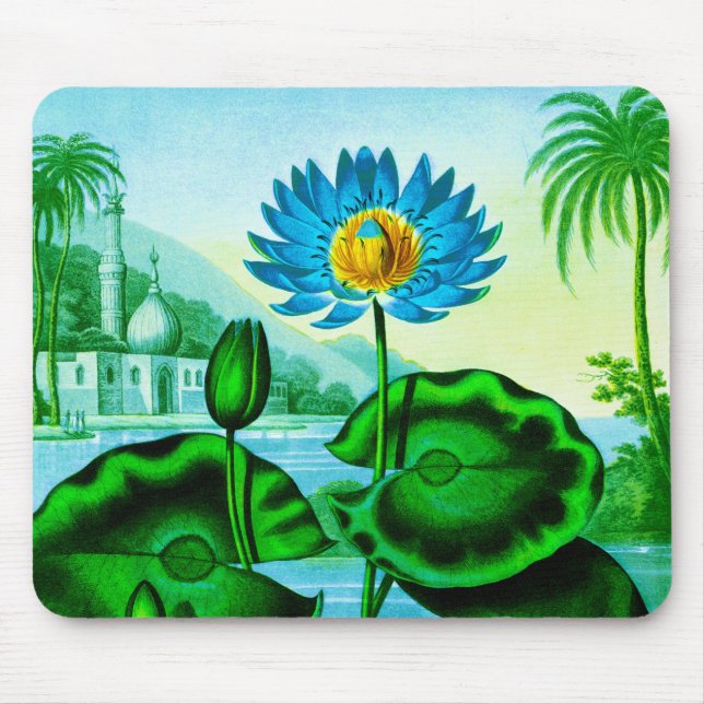 Blaue ägyptische Wasserlilie / Lotus Illustration Mousepad (Vorne)