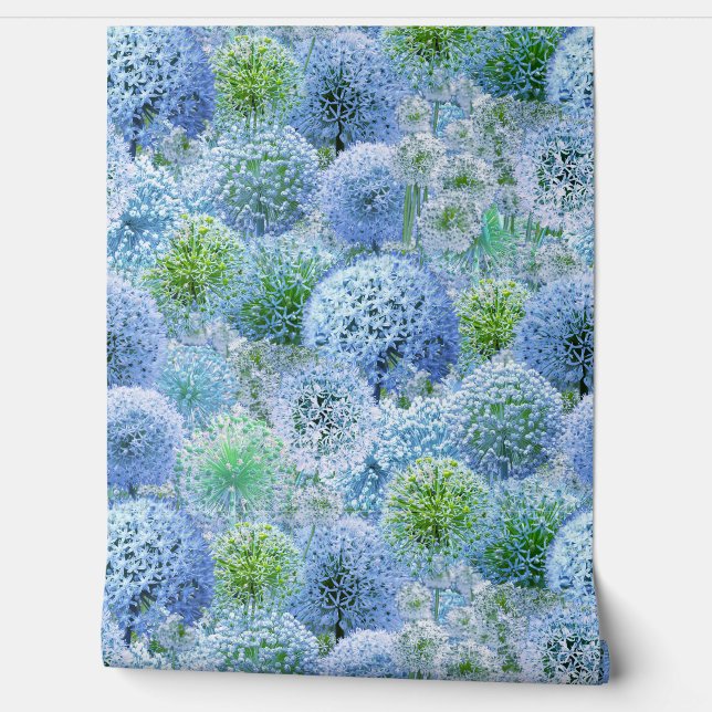 Blaue Alliums Tapete (Abrollen)