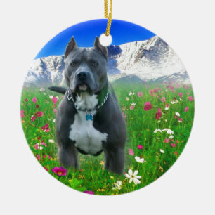 Blaue amerikanische Pitbull Terrier, Spiess-Spitze Keramik Ornament