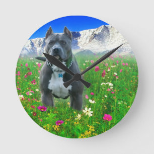 Blaue amerikanische Pitbull Terrier, Spiess-Spitze Runde Wanduhr