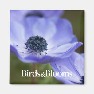 Blaue Anemone Magnet
