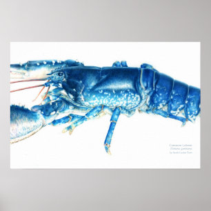Blaue Aquarellkunst Poster