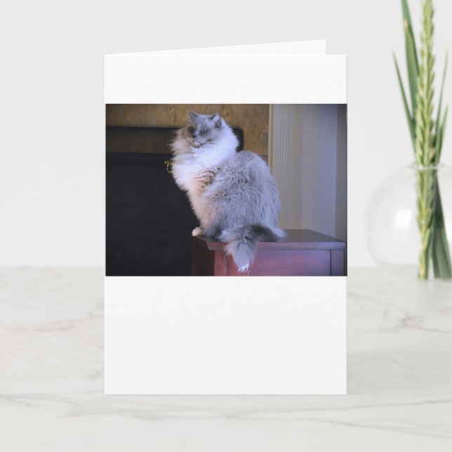 Blaue Augen, Karte (Vorderseite)