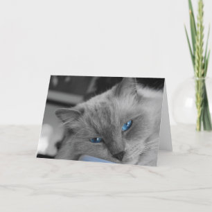 Blaue Augen Karte