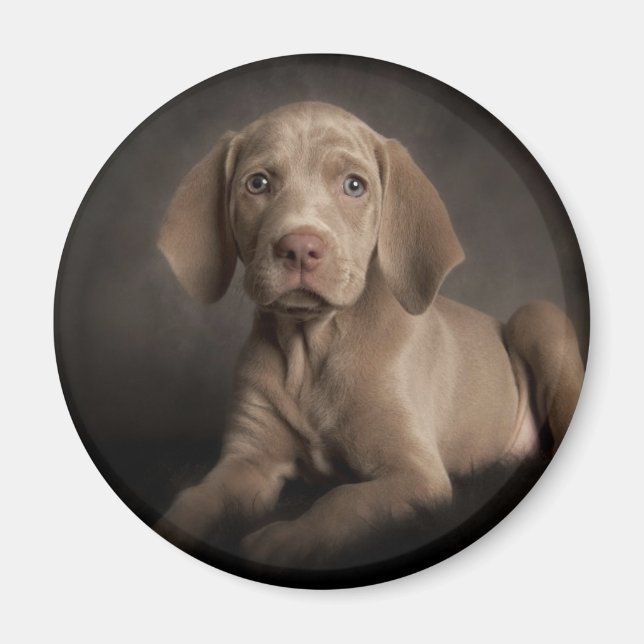 Blaue Augen Magnet (Vorne)