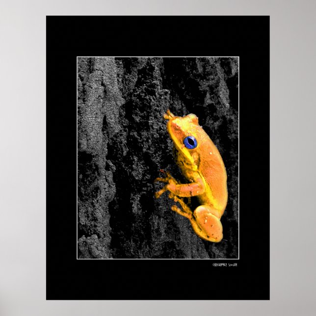 Blaue Augen Poster (Vorne)