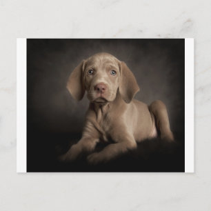 Blaue Augen Postkarte