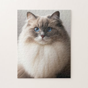 Blaue Augen Ragdoll Katze Fluffiger Luxus Puzzle