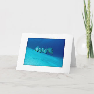 Blaue Batfish-Gruß-Karte Karte