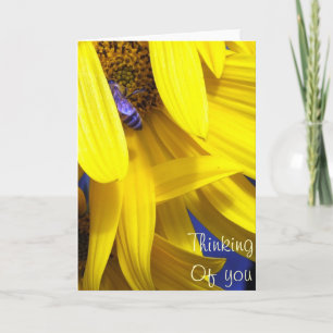 Blaue Biene auf gelber Sonnenblume - Denken Sie an Karte