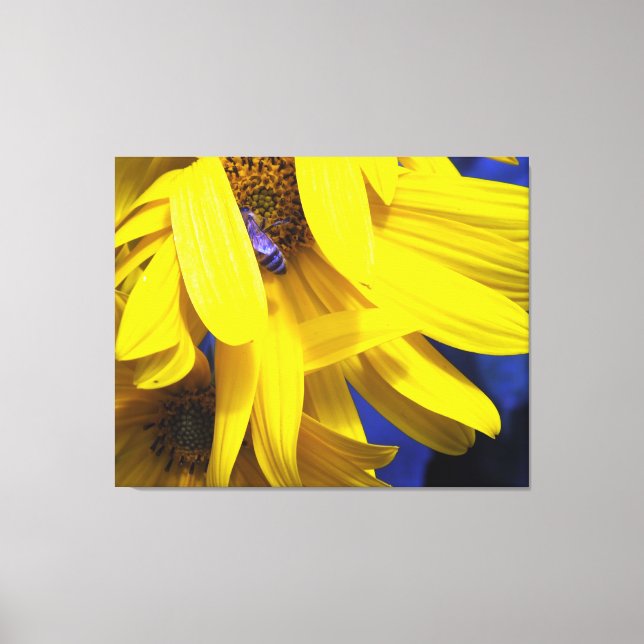 Blaue Biene auf gelber Sonnenblume gezackte Canvas Leinwanddruck (Vorderseite)